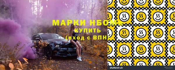 шишки Краснослободск