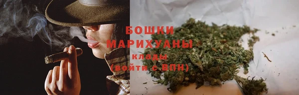 шишки Краснослободск