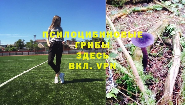 шишки Краснослободск