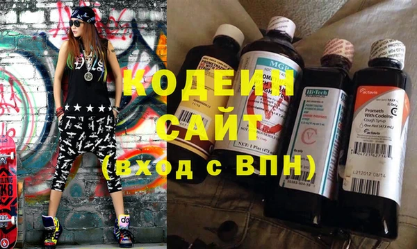 шишки Краснослободск