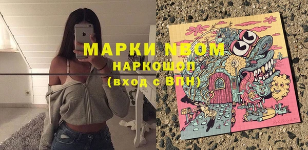 шишки Краснослободск