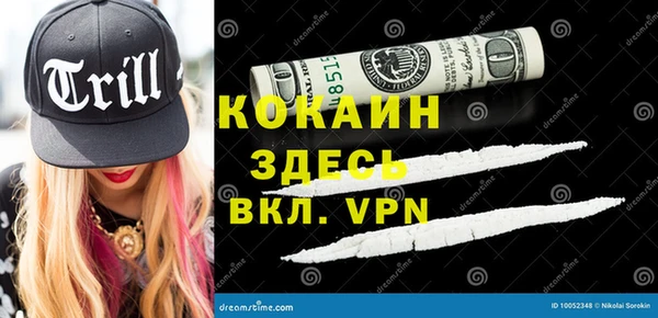шишки Краснослободск