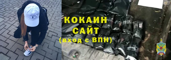 шишки Краснослободск